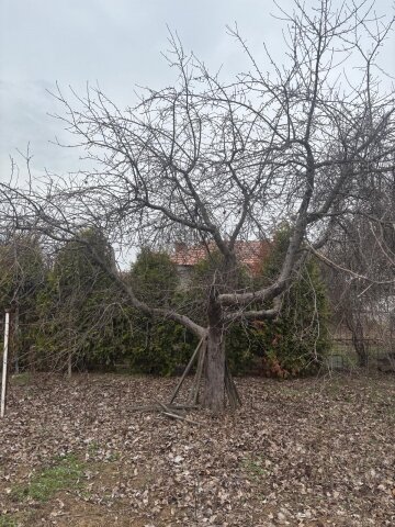 Dolj, Casa cu livada si anexe, P+1, teren 3986mp,